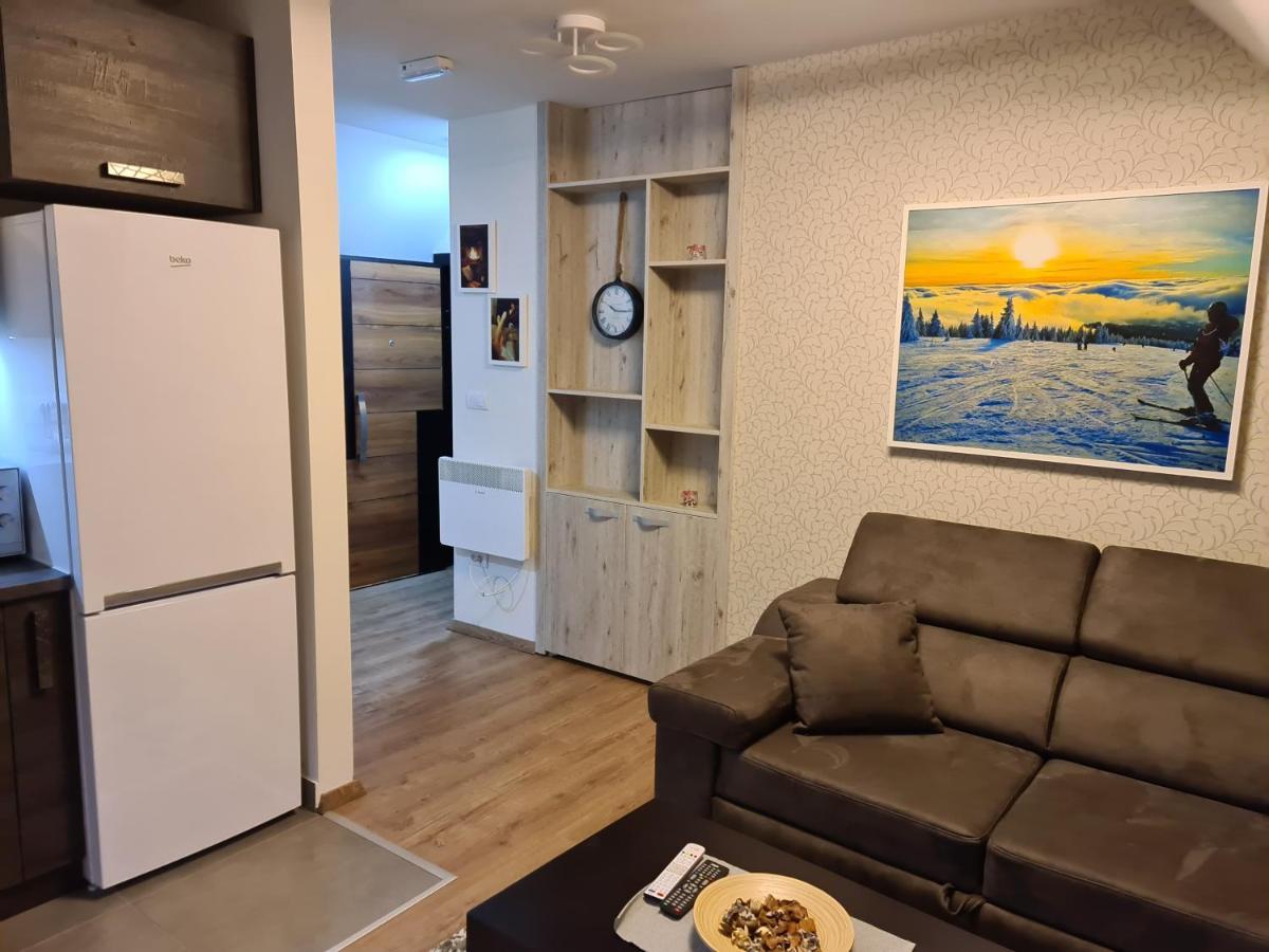 Gabi Apartments Kopaonik - Kraljevi Cardaci المظهر الخارجي الصورة